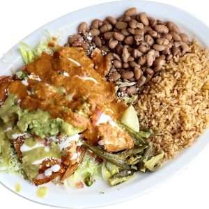 Chicken Mexican Enchiladas